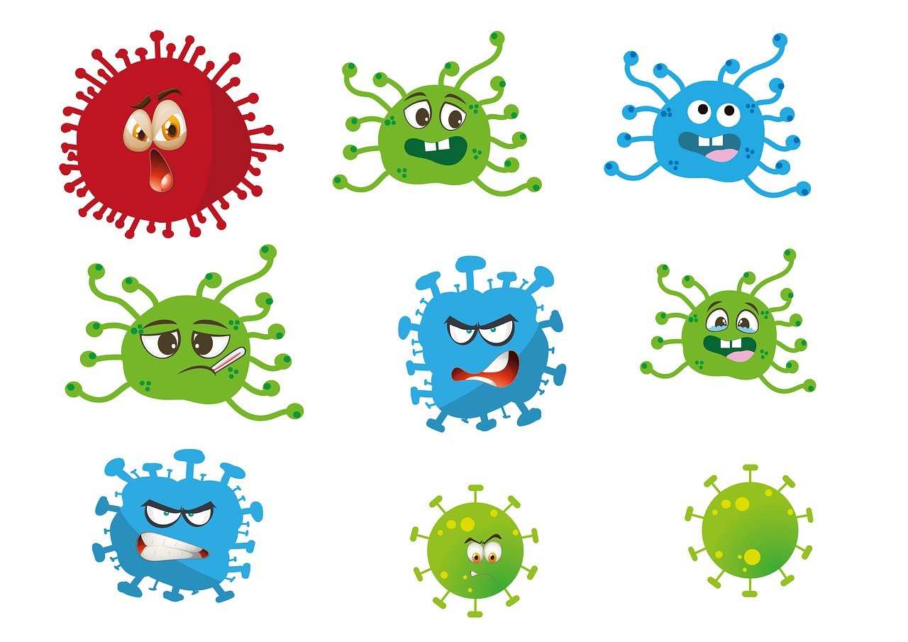 entdecken sie, wie das immunsystem funktioniert und wie sie es stärken können, um ihre gesundheit zu schützen. erfahren sie mehr über natürliche abwehrkräfte und effektive strategien zur unterstützung ihres immunsystems.