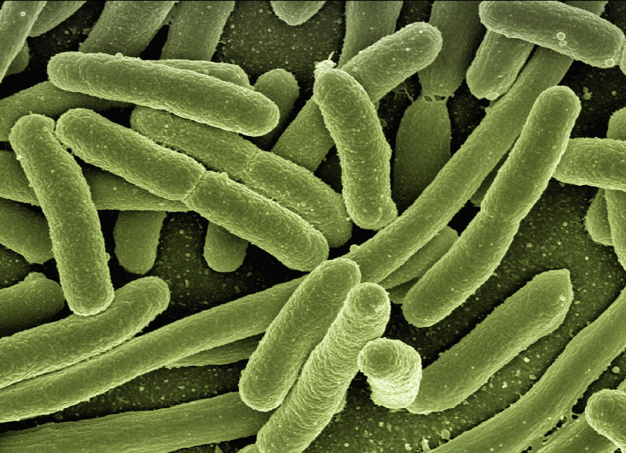 Wie kann man sein Immunsystem auf natürliche Weise stärken?