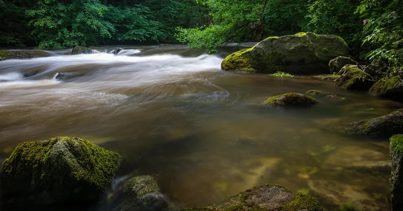 Die Hängebrücke und das Bodetal: Das Herzstück der Region