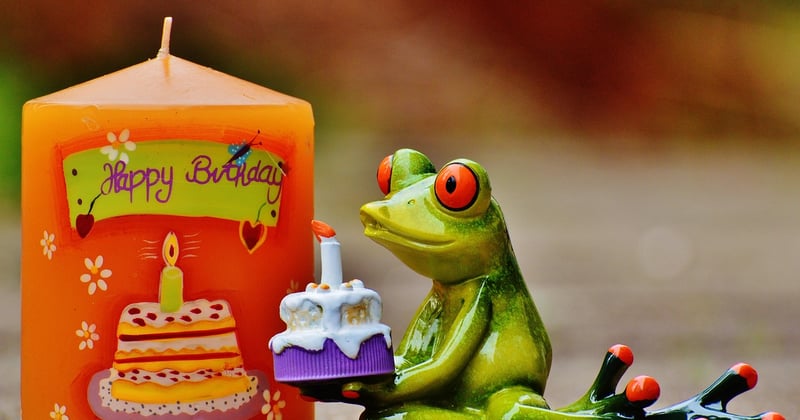 Lustige Bilder Geburtstag: Die besten Ideen zum Lachen & Verschicken
