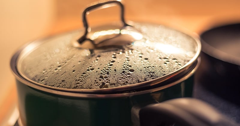 Weiße Küche: 7 Ideen für ein zeitloses Traumzuhause