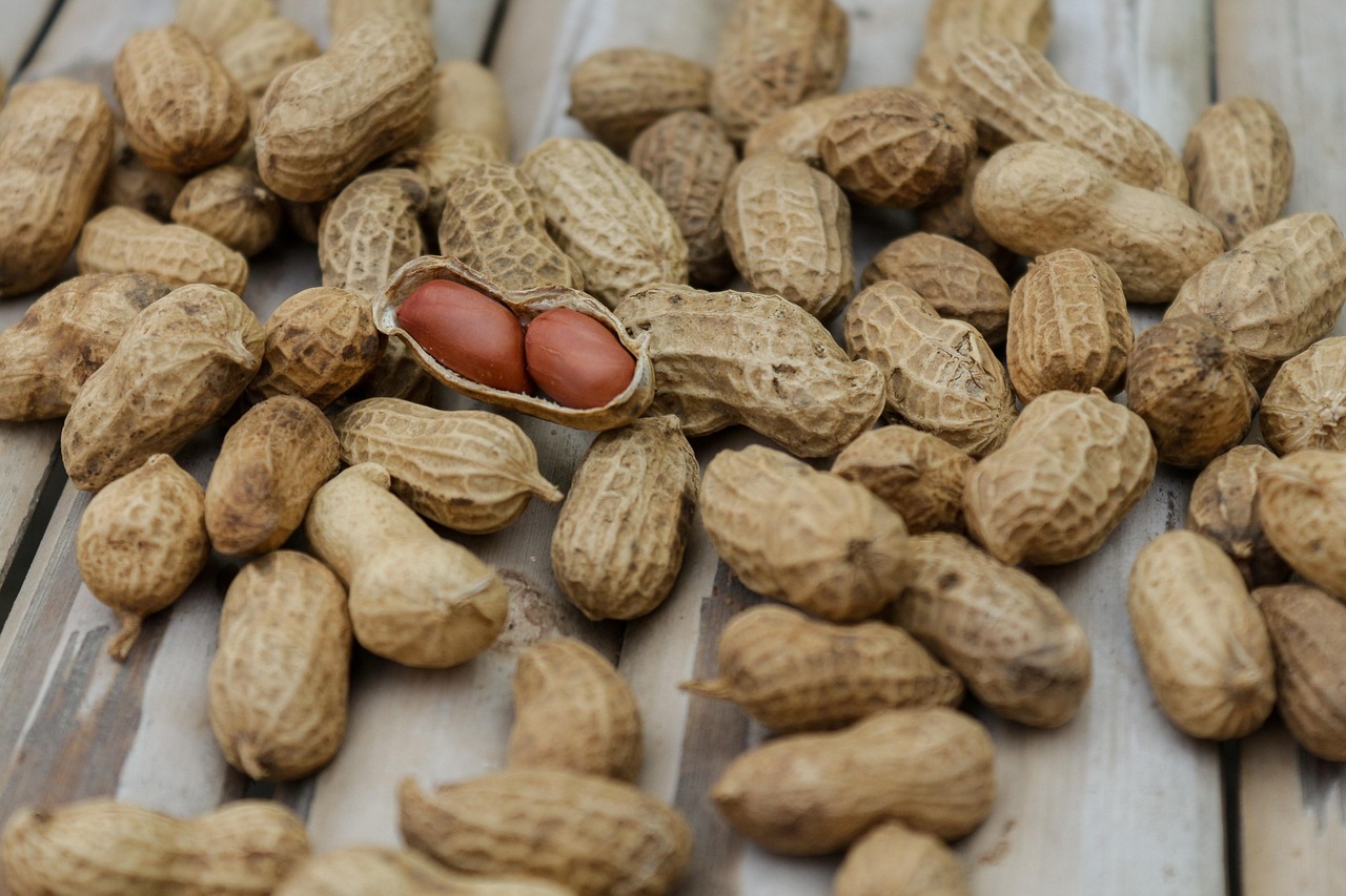Warum verändern sich Ernährungstrends so schnell?
