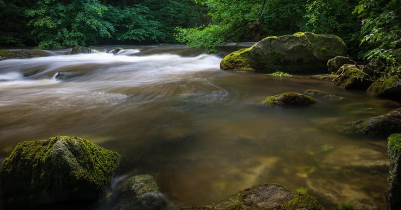 Thale Sehenswürdigkeiten: Die 15 schönsten Highlights im Harz