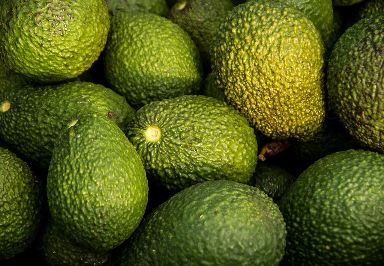 entdecken sie die kraft der superfoods! erfahren sie, wie nährstoffreiche lebensmittel ihre gesundheit stärken, ihr immunsystem unterstützen und ihr wohlbefinden steigern können.