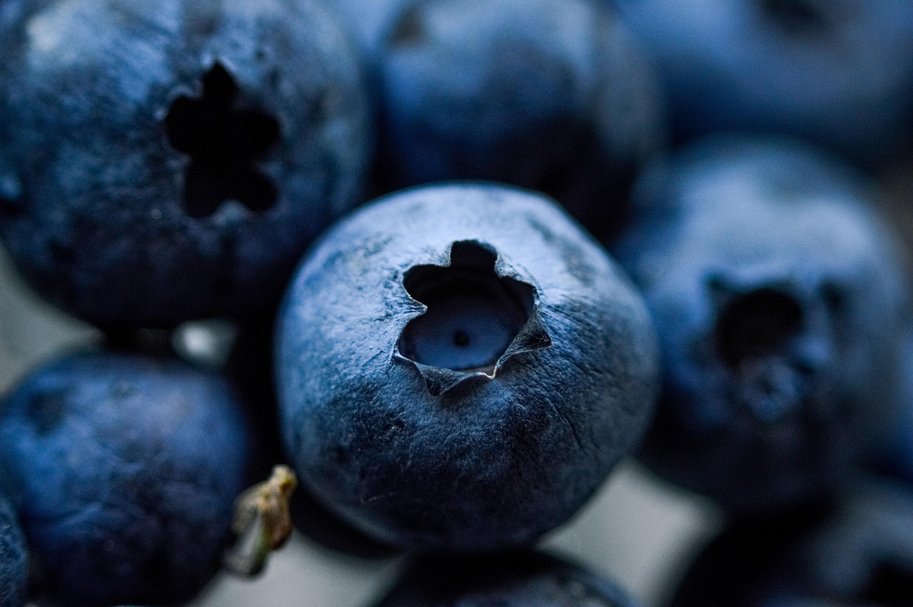 entdecken sie alles über superfoods: was sie sind, welche vorteile sie bieten und wie sie sie einfach in ihre ernährung integrieren können. lernen sie die nährstoffreichsten lebensmittel für ihre gesundheit kennen!