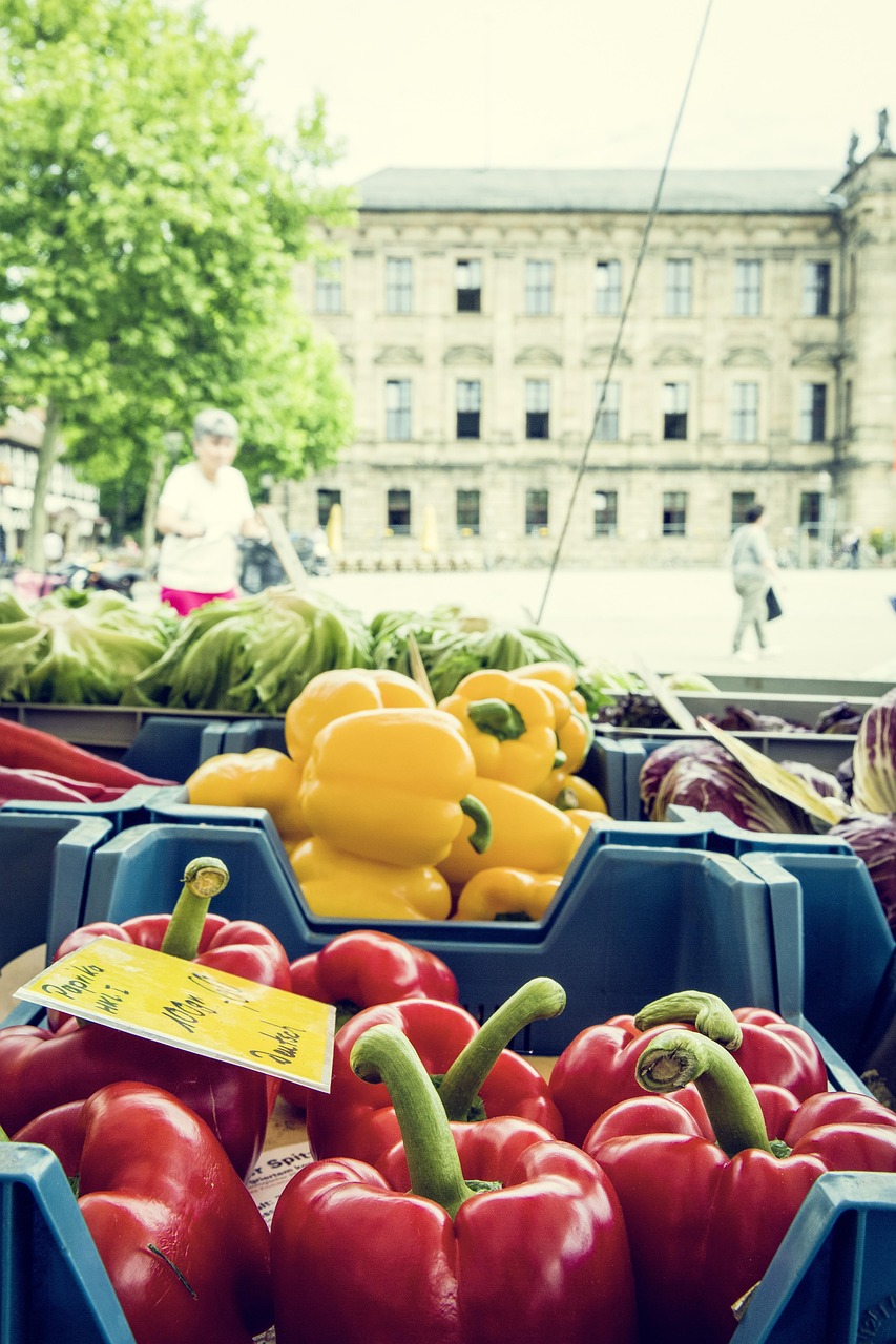 entdecken sie regionale spezialitäten und typische gerichte aus verschiedenen regionen deutschlands. erfahren sie mehr über authentische zutaten und traditionelle rezepte für echten regionalen genuss.